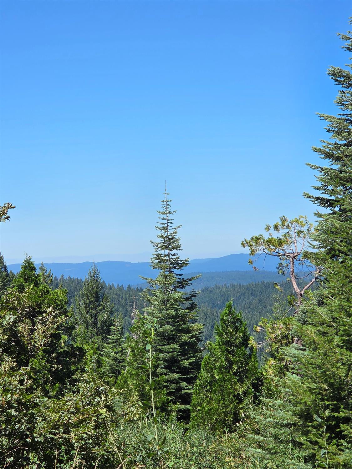 23133 Back Bone Road Nevada City, CA 95959 - Photo 2 of 33 Gallery Image 2
