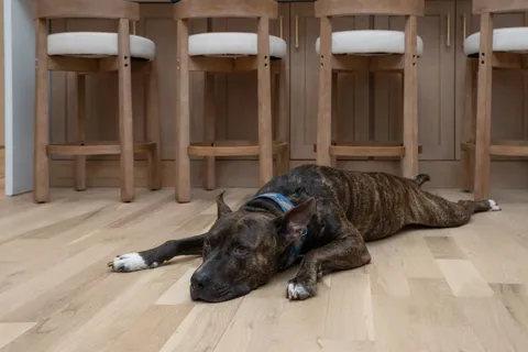 $999,000 | 2512 Sheridan Road, Nashville, TN 37206