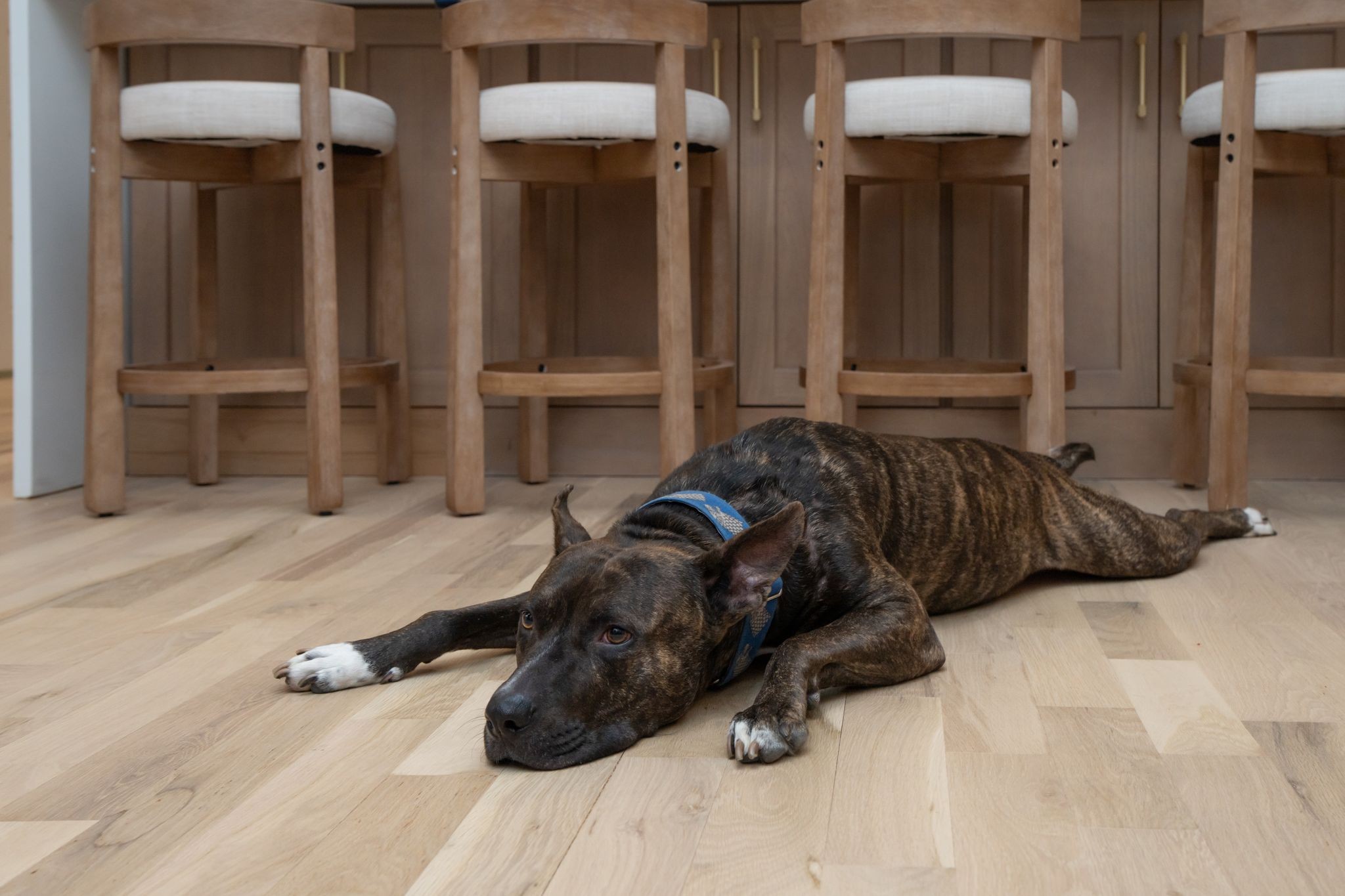 2512 Sheridan Road Nashville, TN 37206 - Photo 40 of 45 a bed room with two beds and a chair