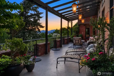 a view of a big yard with potted plants