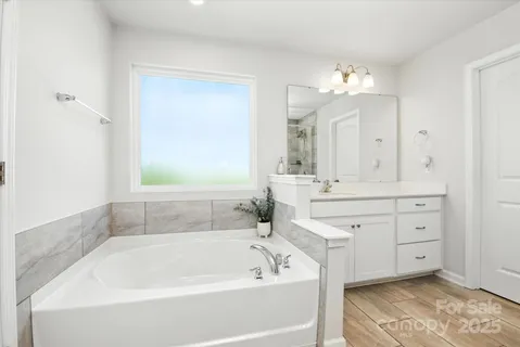 a bathroom with a tub a sink and a mirror
