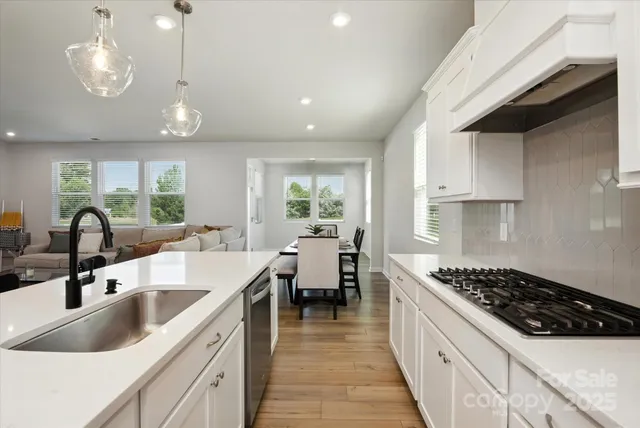 a kitchen with a sink a counter space and cabinets