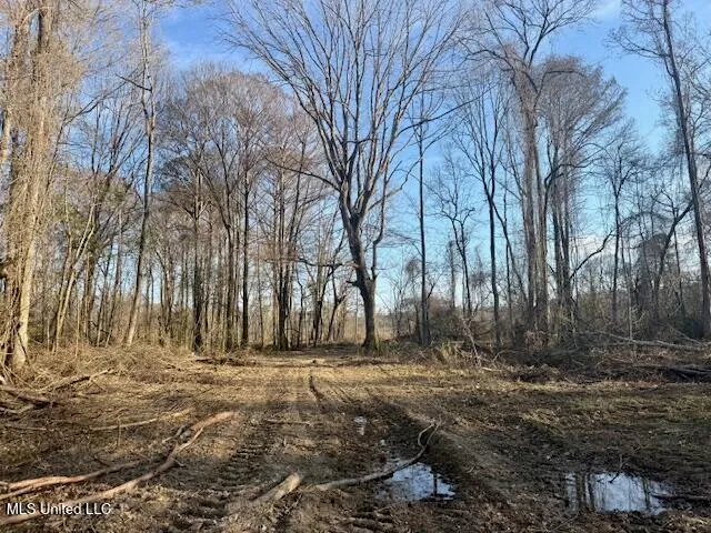 $469,900 | Pecan Orchard Road, Liberty, MS 39645