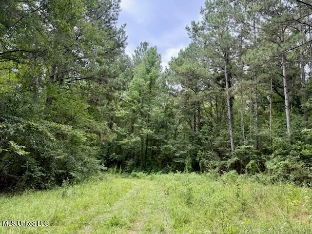$469,900 | Pecan Orchard Road, Liberty, MS 39645