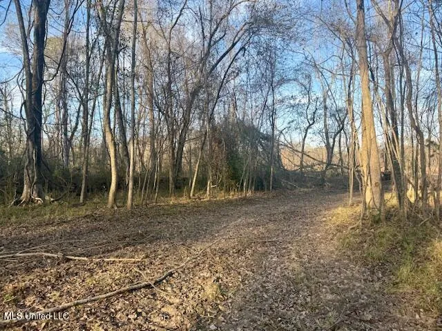 $469,900 | Pecan Orchard Road, Liberty, MS 39645