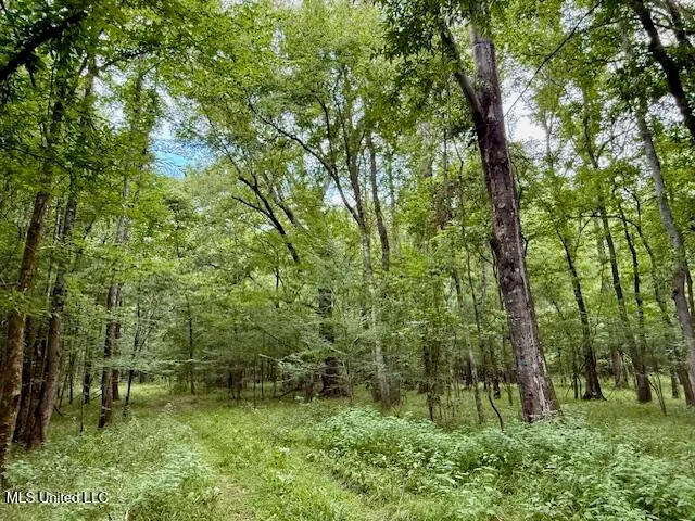 $469,900 | Pecan Orchard Road, Liberty, MS 39645