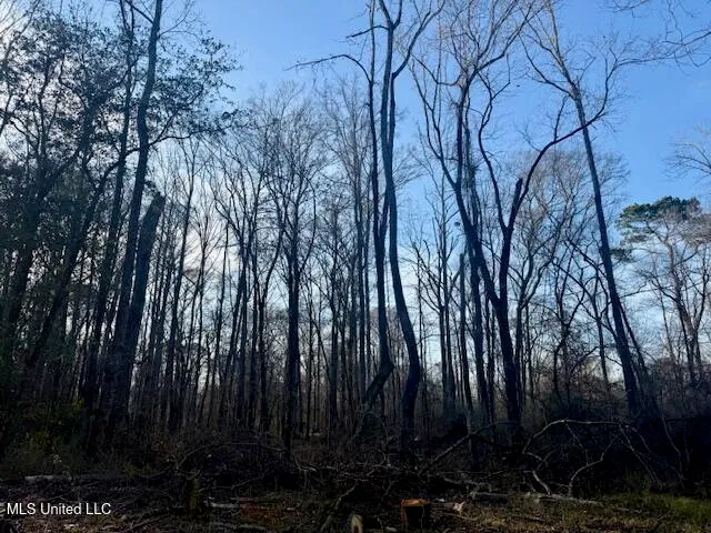 $469,900 | Pecan Orchard Road, Liberty, MS 39645