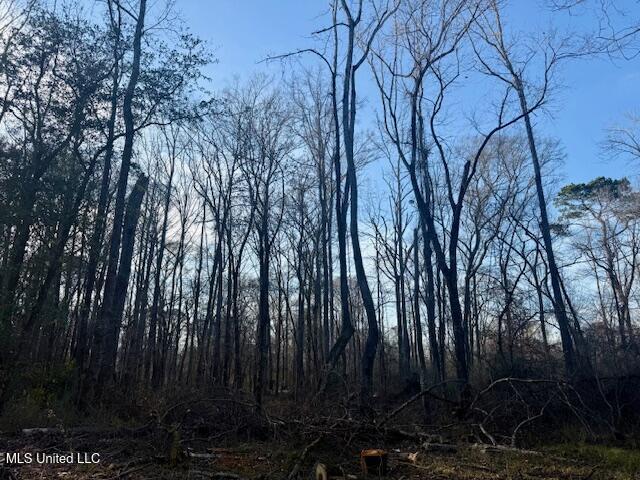 Pecan Orchard Road Liberty, MS 39645 - Photo 12 of 54 IMG_7385