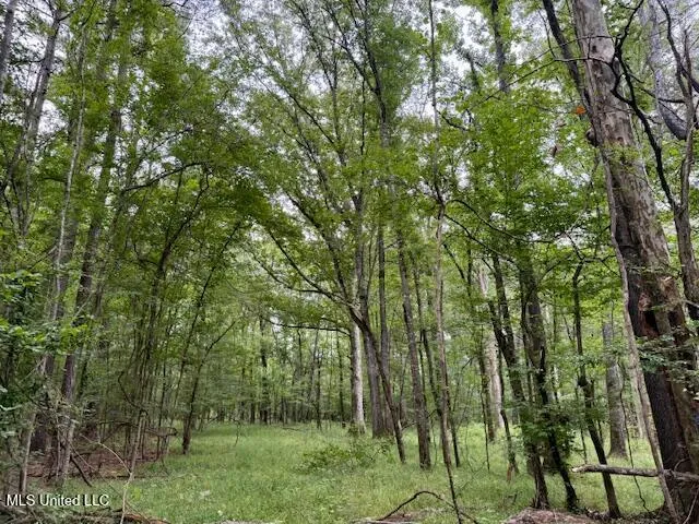 $469,900 | Pecan Orchard Road, Liberty, MS 39645