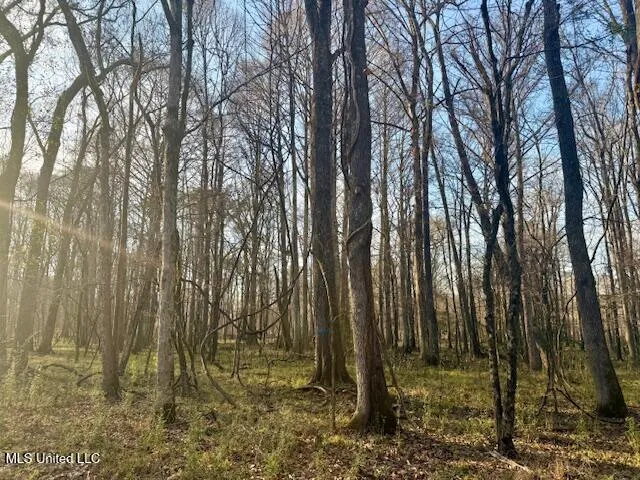 $469,900 | Pecan Orchard Road, Liberty, MS 39645