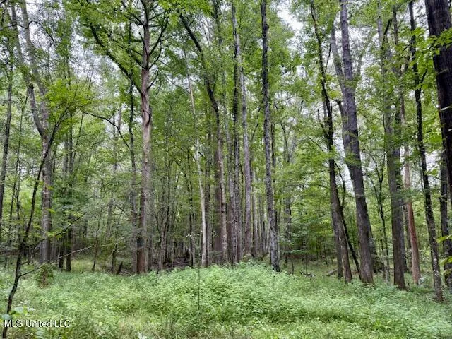 $469,900 | Pecan Orchard Road, Liberty, MS 39645