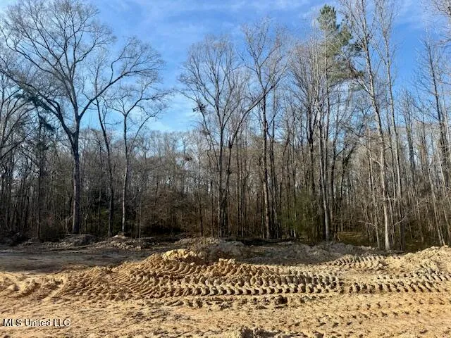 $469,900 | Pecan Orchard Road, Liberty, MS 39645