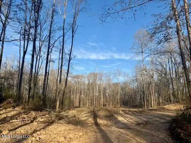 $469,900 | Pecan Orchard Road, Liberty, MS 39645