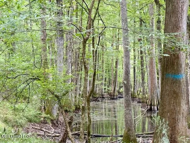 $469,900 | Pecan Orchard Road, Liberty, MS 39645