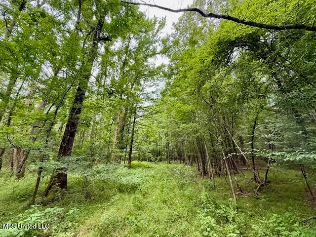 $469,900 | Pecan Orchard Road, Liberty, MS 39645