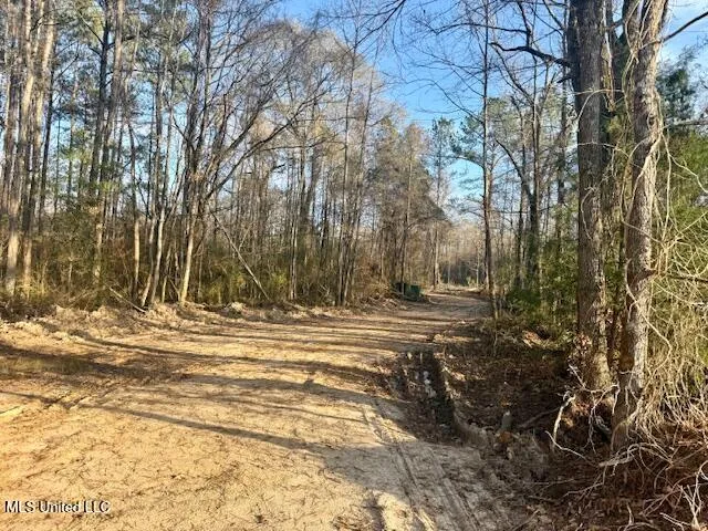 $469,900 | Pecan Orchard Road, Liberty, MS 39645