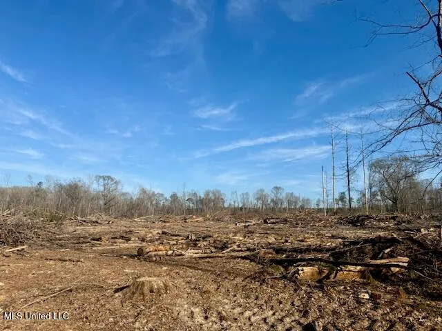 $469,900 | Pecan Orchard Road, Liberty, MS 39645