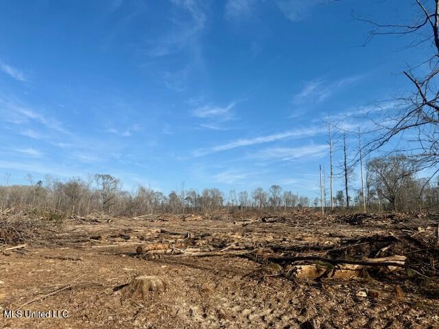 Pecan Orchard Road Liberty, MS 39645 - Photo 17 of 54 IMG_7340