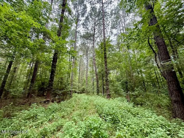 $469,900 | Pecan Orchard Road, Liberty, MS 39645