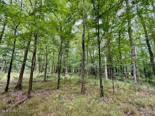 $469,900 | Pecan Orchard Road, Liberty, MS 39645