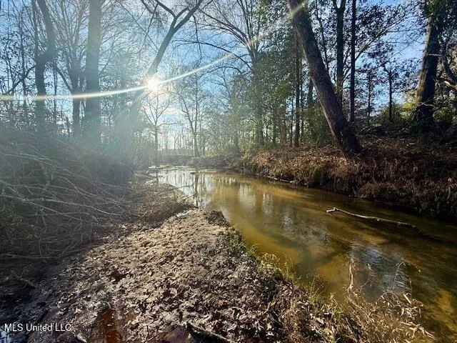 $469,900 | Pecan Orchard Road, Liberty, MS 39645