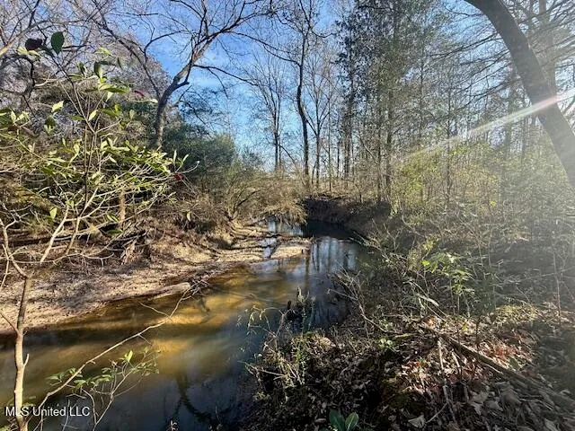 $469,900 | Pecan Orchard Road, Liberty, MS 39645