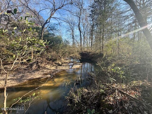 Pecan Orchard Road Liberty, MS 39645 - Photo 19 of 54 IMG_7356