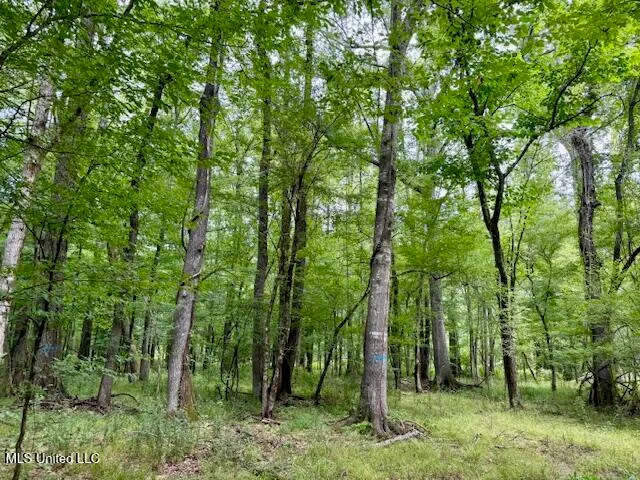 $469,900 | Pecan Orchard Road, Liberty, MS 39645