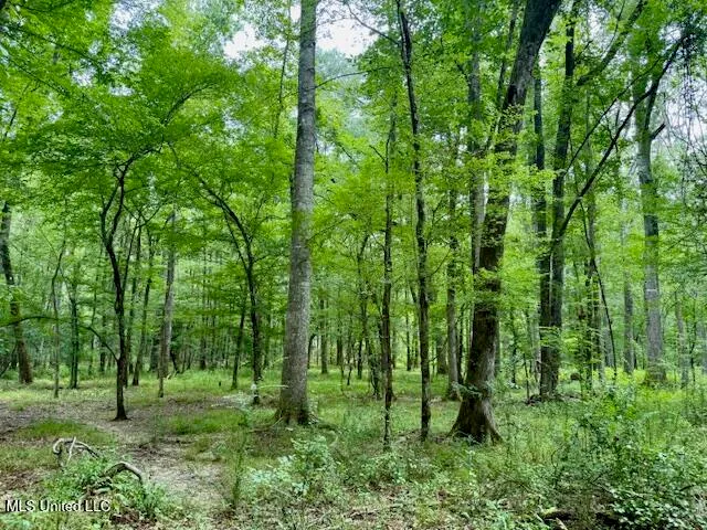 $469,900 | Pecan Orchard Road, Liberty, MS 39645