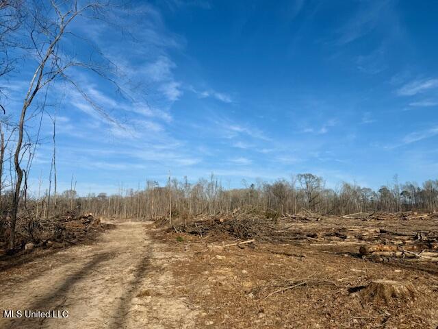 Pecan Orchard Road Liberty, MS 39645 - Photo 20 of 54 IMG_7341