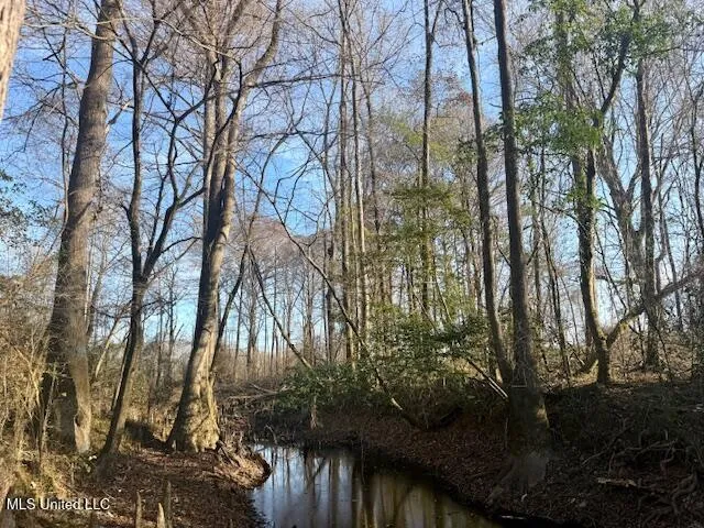 $469,900 | Pecan Orchard Road, Liberty, MS 39645