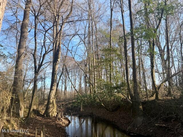 Pecan Orchard Road Liberty, MS 39645 - Photo 2 of 54 IMG_7369