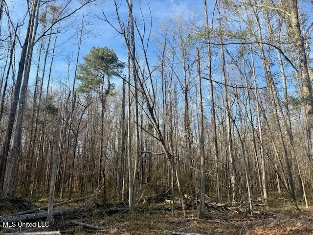 $469,900 | Pecan Orchard Road, Liberty, MS 39645