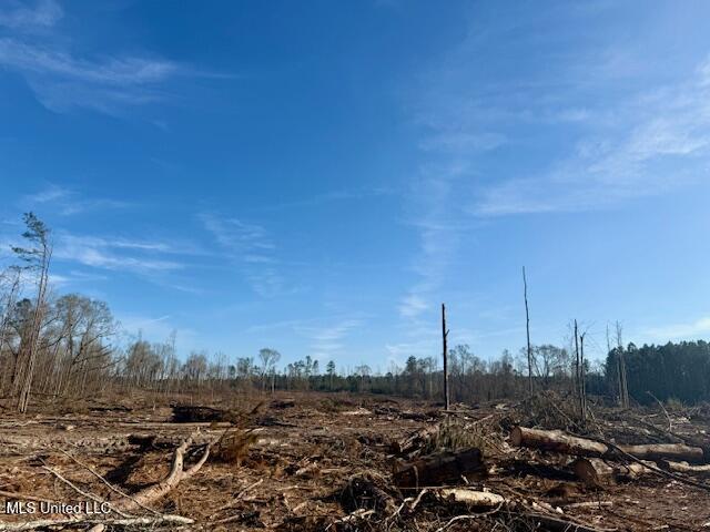 Pecan Orchard Road Liberty, MS 39645 - Photo 22 of 54 IMG_7343