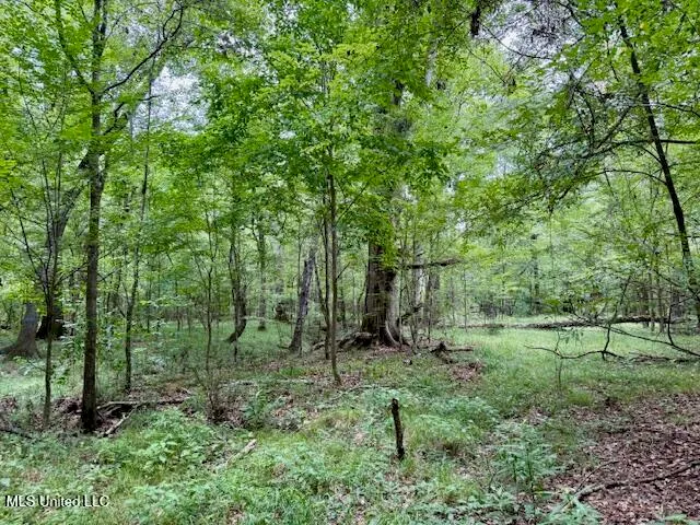 $469,900 | Pecan Orchard Road, Liberty, MS 39645