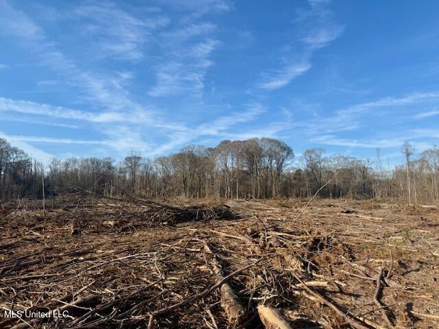 Pecan Orchard Road Liberty, MS 39645 - Photo 23 of 54 IMG_7345