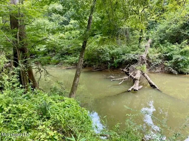 $469,900 | Pecan Orchard Road, Liberty, MS 39645