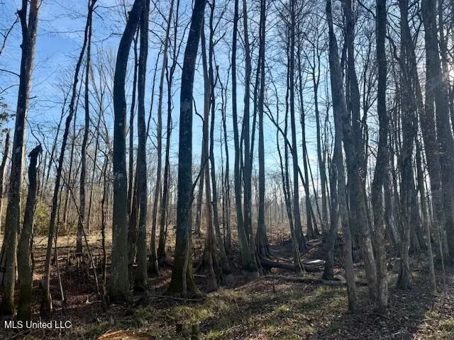 $469,900 | Pecan Orchard Road, Liberty, MS 39645