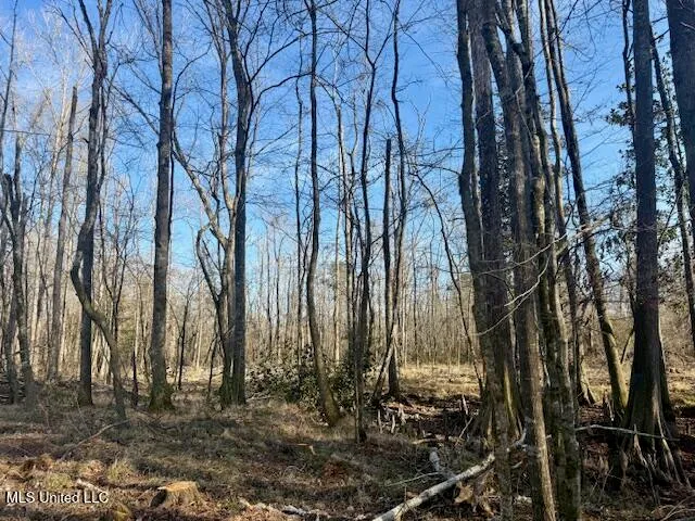 $469,900 | Pecan Orchard Road, Liberty, MS 39645