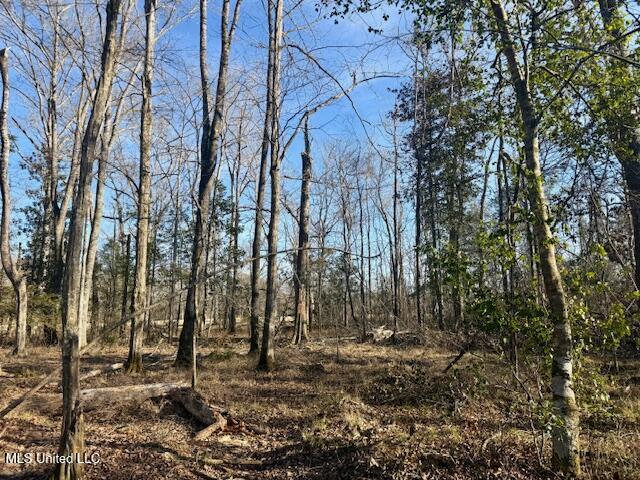Pecan Orchard Road Liberty, MS 39645 - Photo 26 of 54 IMG_7348