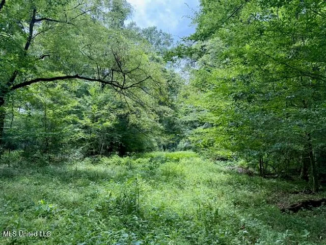 $469,900 | Pecan Orchard Road, Liberty, MS 39645