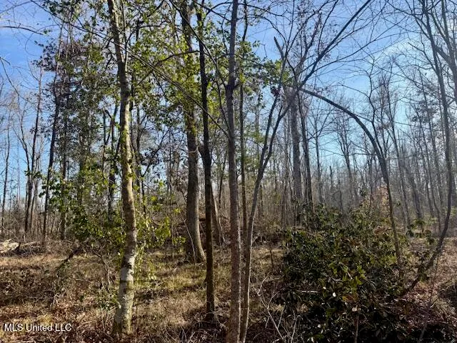 $469,900 | Pecan Orchard Road, Liberty, MS 39645