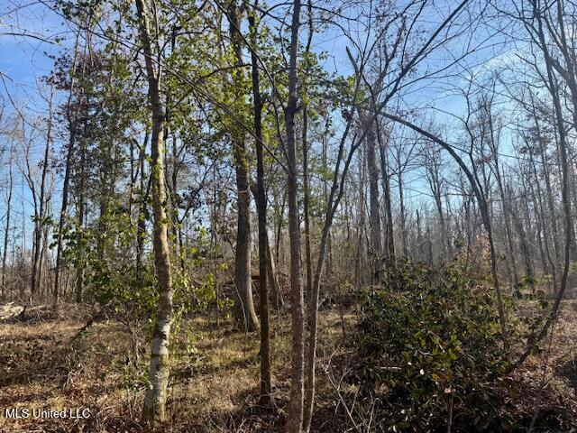 Pecan Orchard Road Liberty, MS 39645 - Photo 27 of 54 IMG_7349