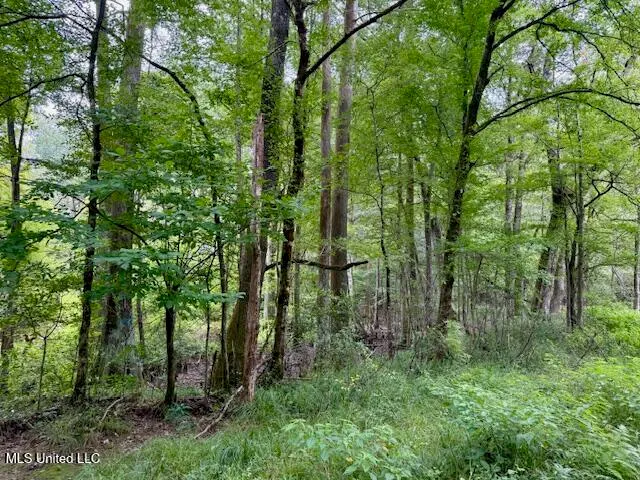 $469,900 | Pecan Orchard Road, Liberty, MS 39645