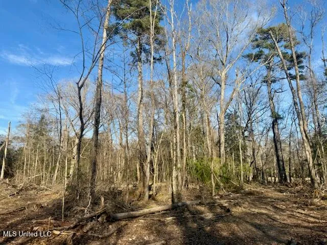 $469,900 | Pecan Orchard Road, Liberty, MS 39645