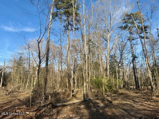 Pecan Orchard Road Liberty, MS 39645 - Photo 28 of 54 IMG_7350