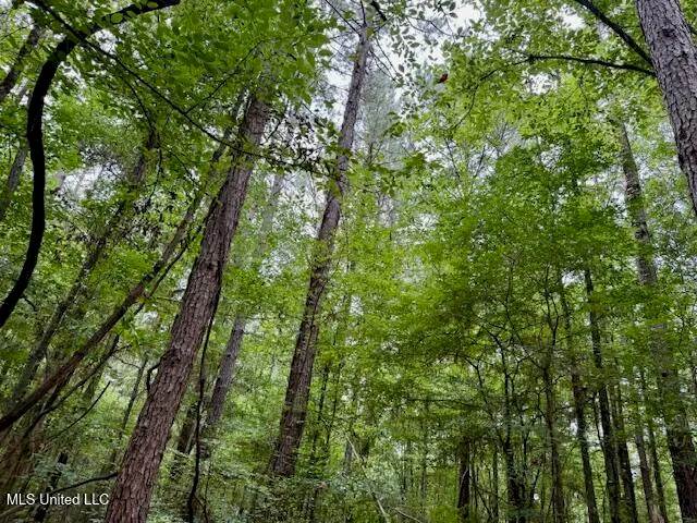 $469,900 | Pecan Orchard Road, Liberty, MS 39645