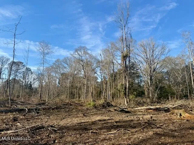 $469,900 | Pecan Orchard Road, Liberty, MS 39645