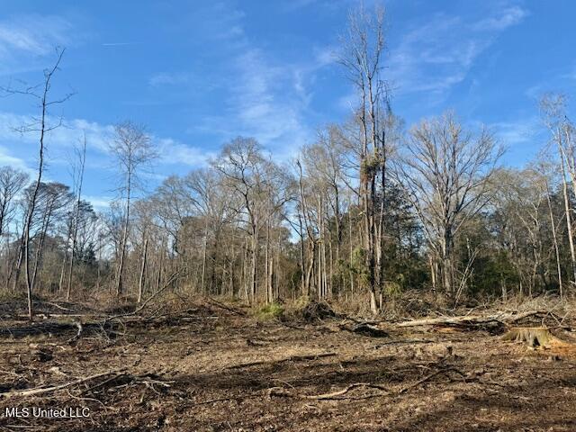 Pecan Orchard Road Liberty, MS 39645 - Photo 29 of 54 IMG_7351