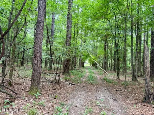 $469,900 | Pecan Orchard Road, Liberty, MS 39645